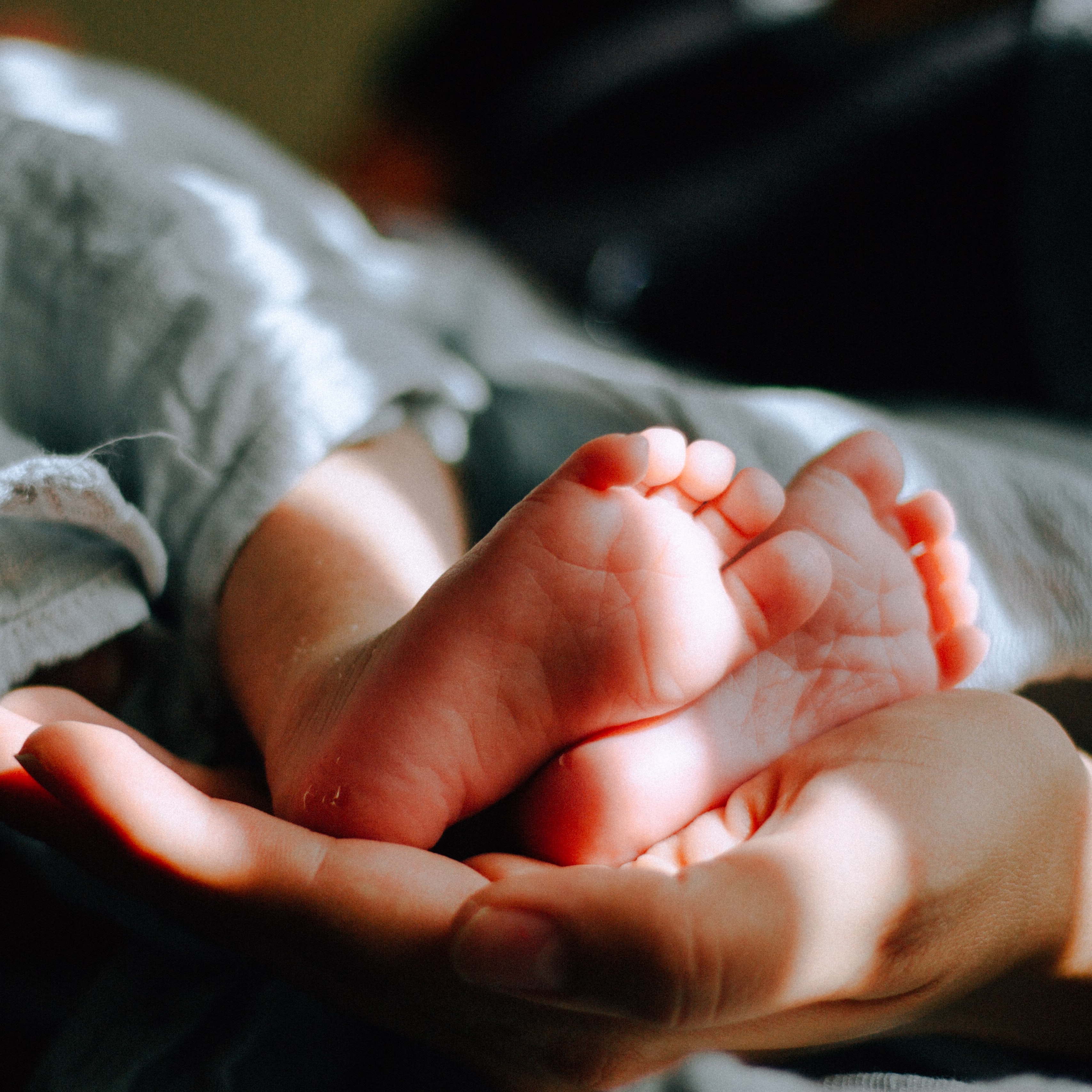 hand holding feet of a newborn baby
